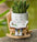 Rocking Chair Smiley Face Planter,Cute Plant Pots for Indoor Outdoor Plants,Succulent Pots with Drainage Hole,Unique Funny Flower Pot for Succulents,Plant Gifts for Mother'S Day, Birthday, Christmas