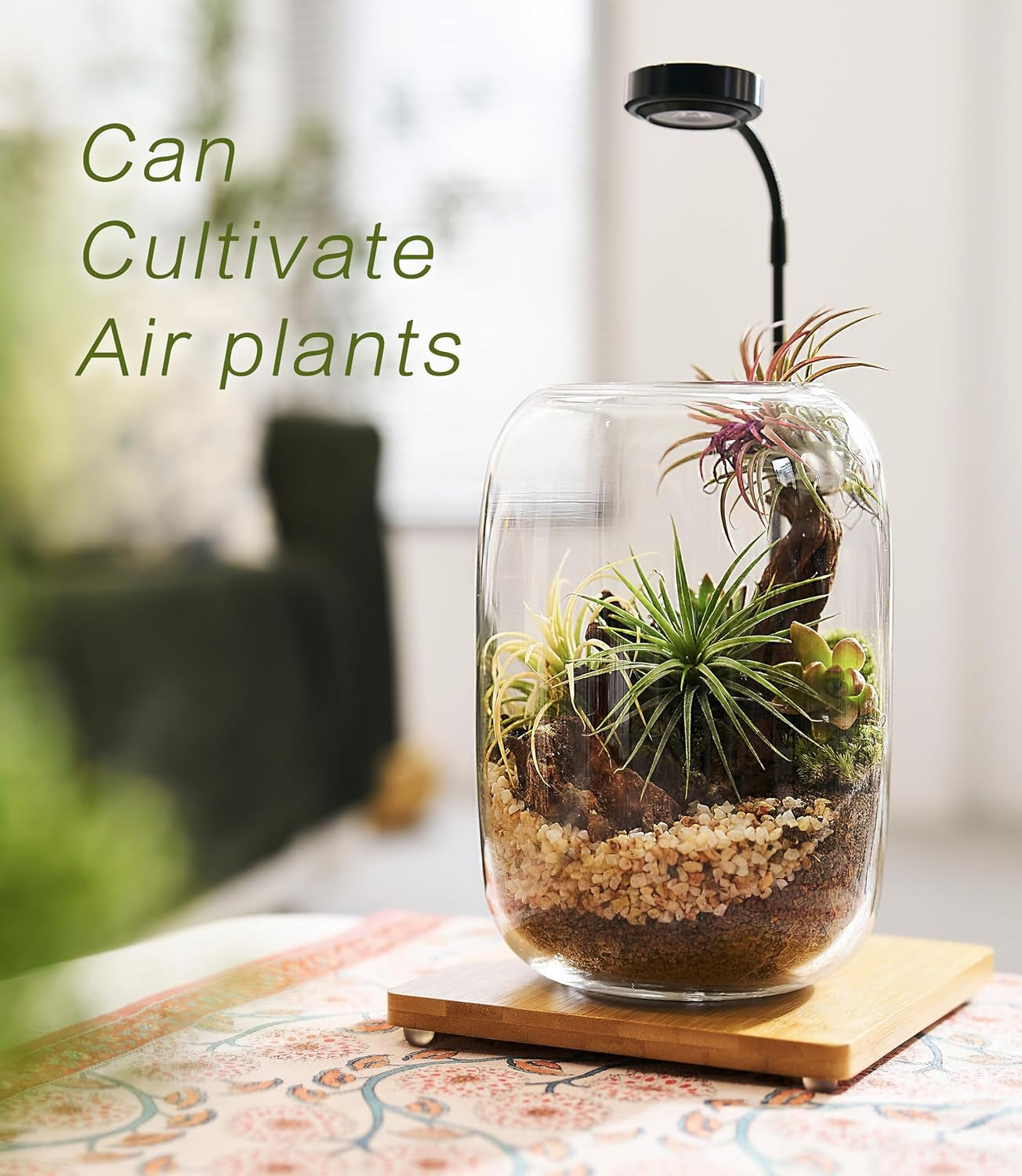 Terrarium Kit with Grow Light – 24-Piece DIY Glass Terrarium Set with Tools, Moss, Driftwood, Soil & Pebbles – Mini Gardening Kit for Air Plants, Succulents & Indoor Desk Decoration Gift