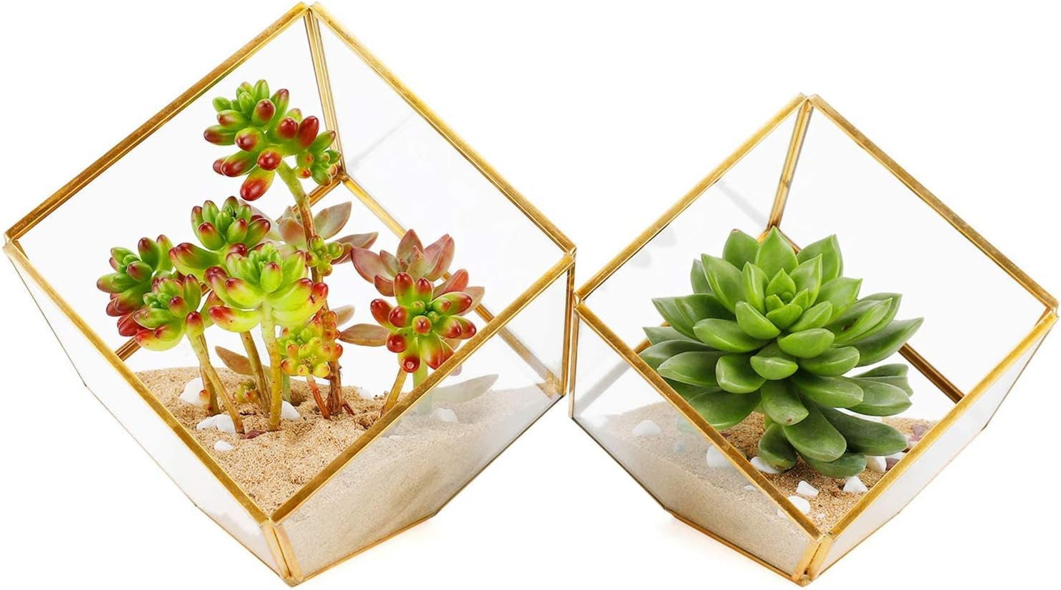 Glass Geometric Plant Terrarium,Succulent & Air Planter for Home Garden Office Decoration (Black House)