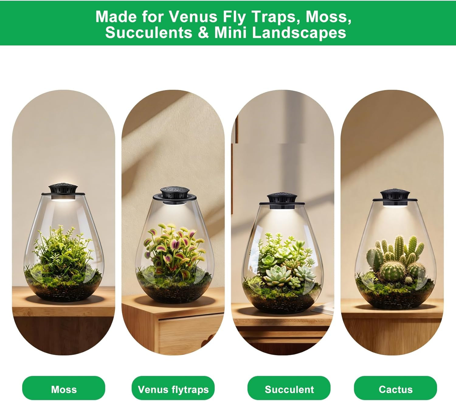 Glass Plant Terrarium with LED Grow Light, 7.8" Borosilicate Terrarium with Adjustable Ventilation & Timer, for Venus Fly Trap, Moss, Succulents, Mini Landscape, Desk Decor for Home Office