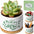 Cat Planter 3.8 Inch, 3 Pcs Cute Cat Small Plant Pots for Indoor Plants, Mini Cat Succulent Pots for Plants, Ceramic Succulent Planters with Drainage, Tiny Flower Pots
