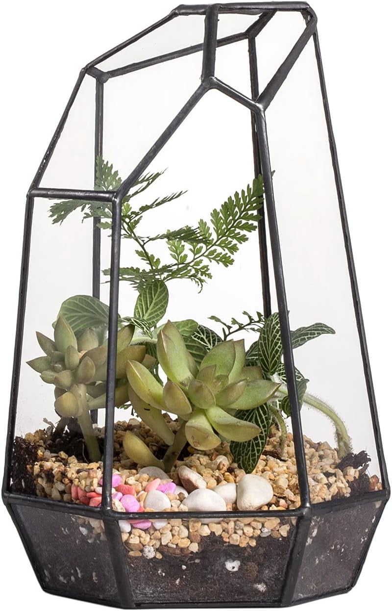 No Door Geometric Glass Terrarium Planter for Small Succulent, Small Cacti, Black Irregular Opened Terrarium Pot, Indoor Home Garden Office Tabletop Decor, 6.5" X 5.7" X 9.8" (No Plants)