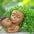 Head Planter Mother and Child Cute Face Planter Pots Head Resin Flower Pots for Indoor Plants with Drainage Hole(Mother&Child-Khaki)