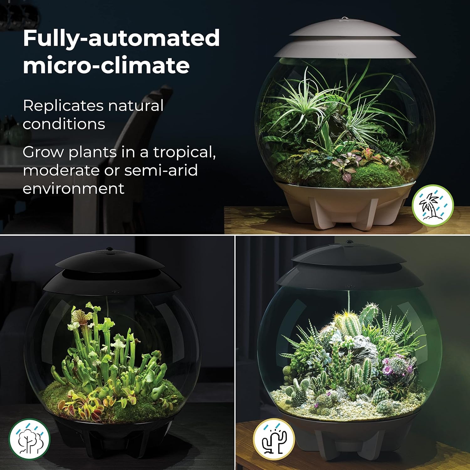 AIR 30, Fully Automated Terrarium for Arid, Temperate, or Tropical Plants, Gray