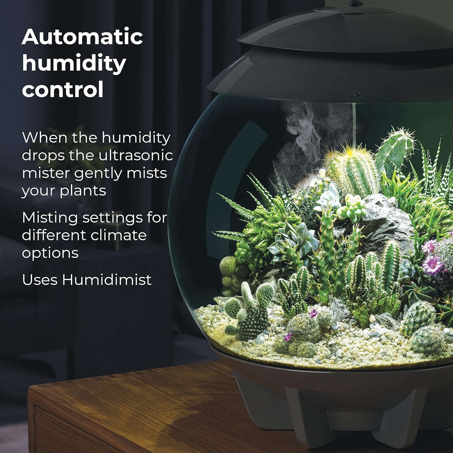 AIR 30, Fully Automated Terrarium for Arid, Temperate, or Tropical Plants, Gray