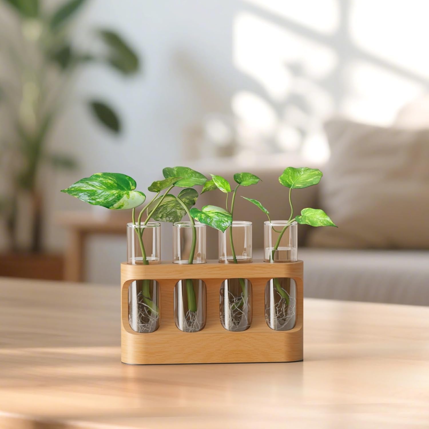 Plant Propagation Station with 9-Speed Adjustable LED Lights, Wooden Stand, 4 Glass Test Tubes for Hydroponic Plants, Unique Gift for Plant Lovers