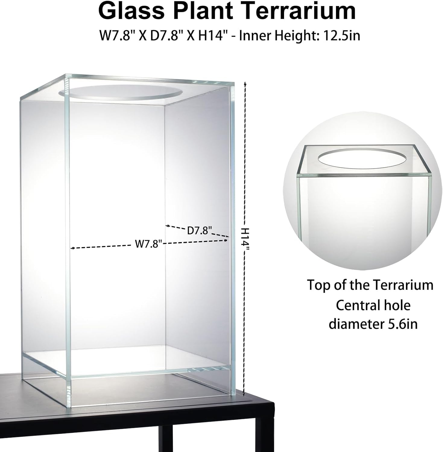 Desktop Glass Plant Terrarium with Grow Light(L7.8 W7.8 H14), for Succulent, Moss, Miniature Gardening Landscape, Betta Fish Tank, Indoor Plant Growth, Office Home Decoration (Timecontrolled)