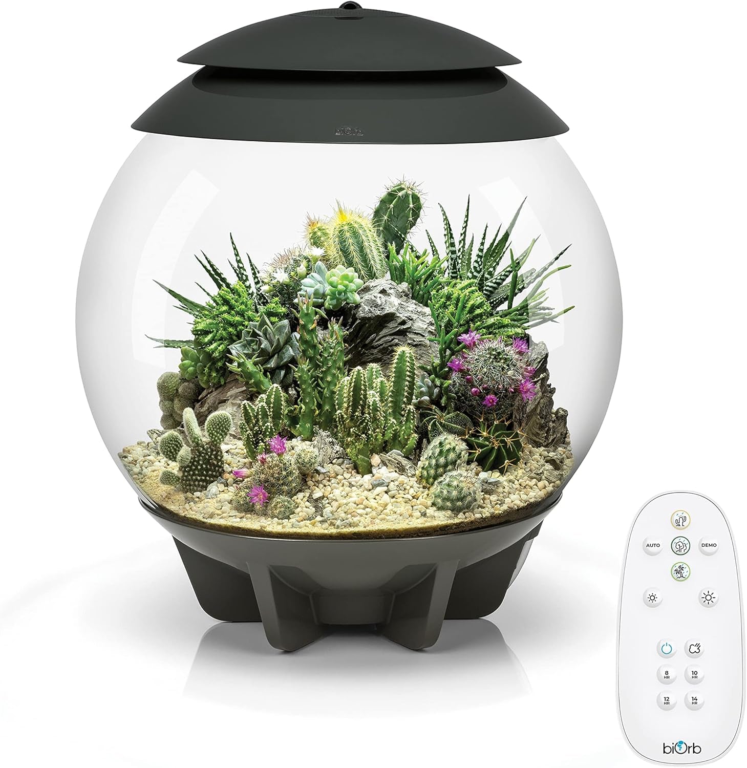 AIR 30, Fully Automated Terrarium for Arid, Temperate, or Tropical Plants, Gray