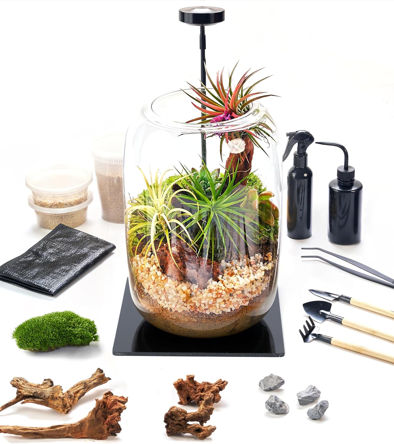 Terrarium Kit with Grow Light – 24-Piece DIY Glass Terrarium Set with Tools, Moss, Driftwood, Soil & Pebbles – Mini Gardening Kit for Air Plants, Succulents & Indoor Desk Decoration Gift