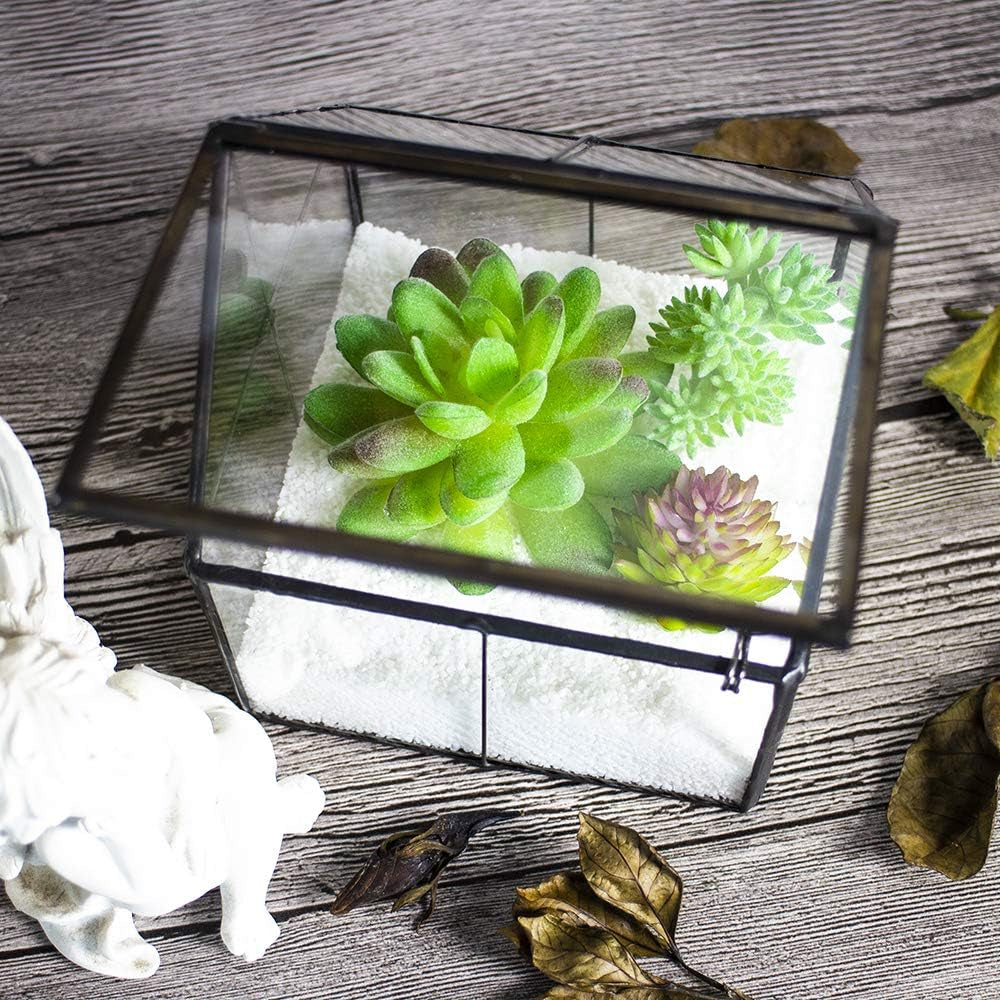 Glass Plant Terrarium Container Wardian Case Indoor Small Succulent Terrarium Planter W/Door for Tabletop Decor DIY - 4.9"X4.3"X4.3"