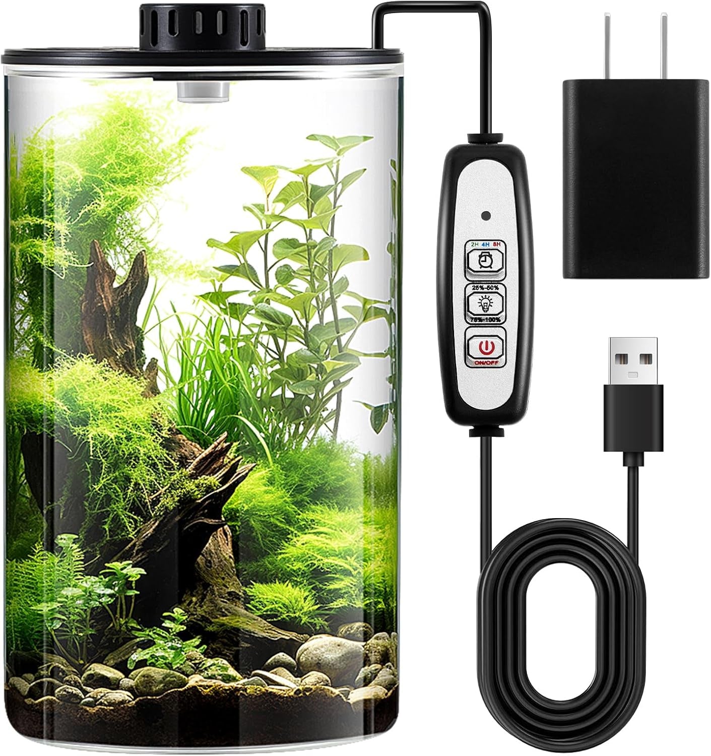 Glass Plant Terrarium Kit with Light for Succulent, Moss, Miniature Gardening Landscape, Betta Fish Tank, Office Home Decoration, Plant Lovers Gifts(9.8 X 5.9 Inch)