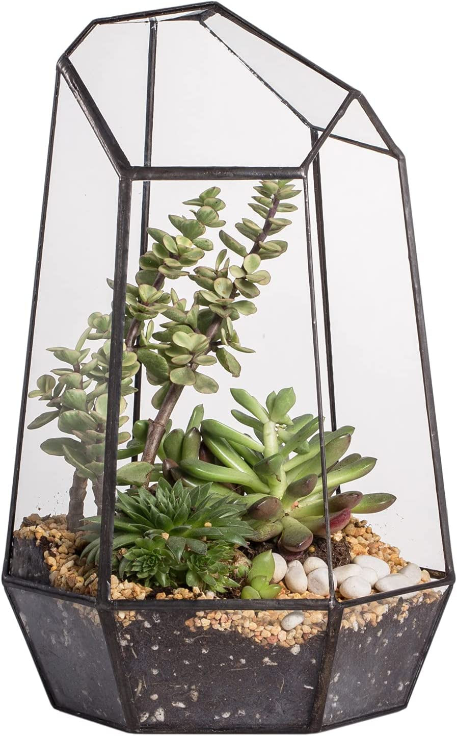 No Door Geometric Glass Terrarium Planter for Small Succulent, Small Cacti, Black Irregular Opened Terrarium Pot, Indoor Home Garden Office Tabletop Decor, 6.5" X 5.7" X 9.8" (No Plants)