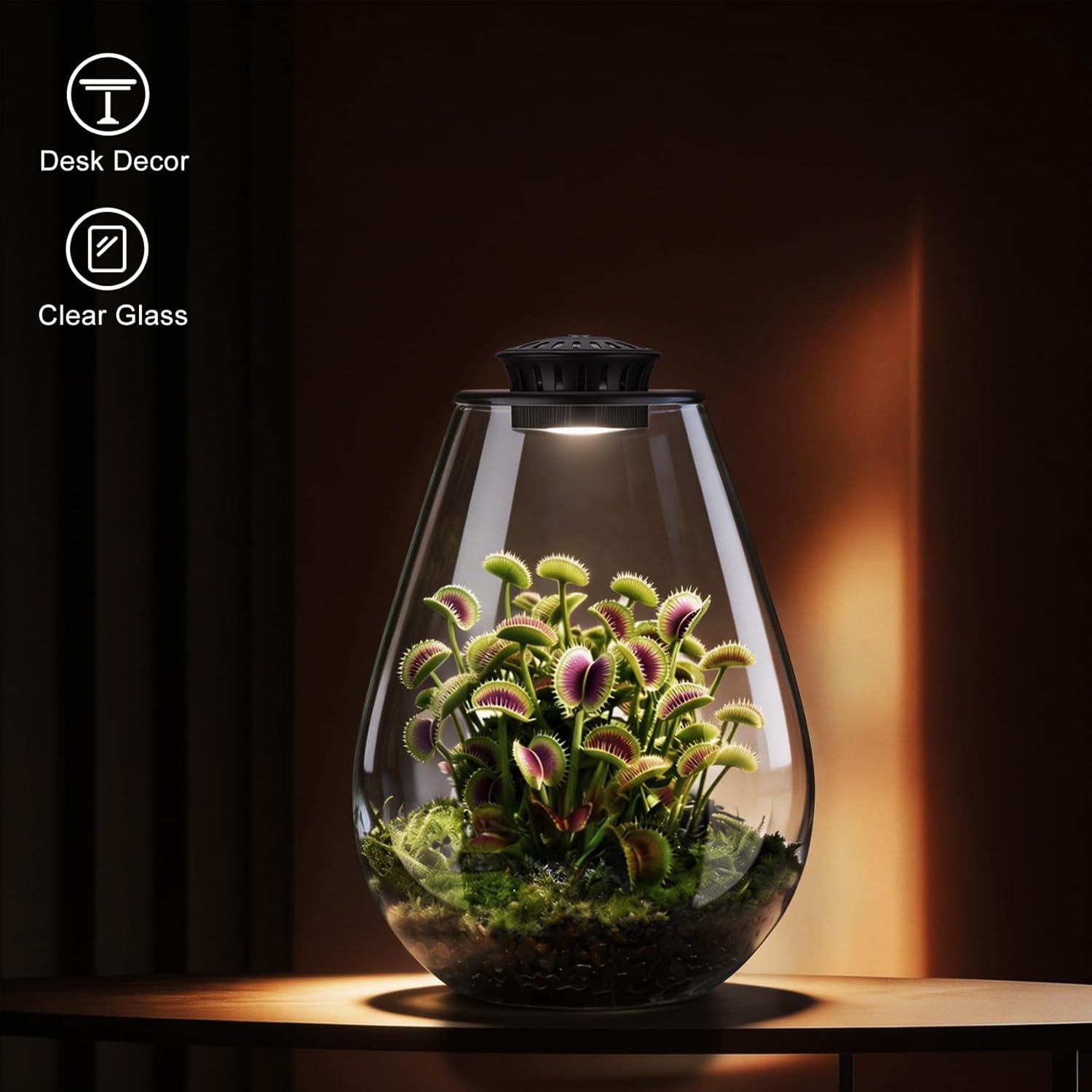 Glass Plant Terrarium with LED Grow Light, 7.8" Borosilicate Terrarium with Adjustable Ventilation & Timer, for Venus Fly Trap, Moss, Succulents, Mini Landscape, Desk Decor for Home Office