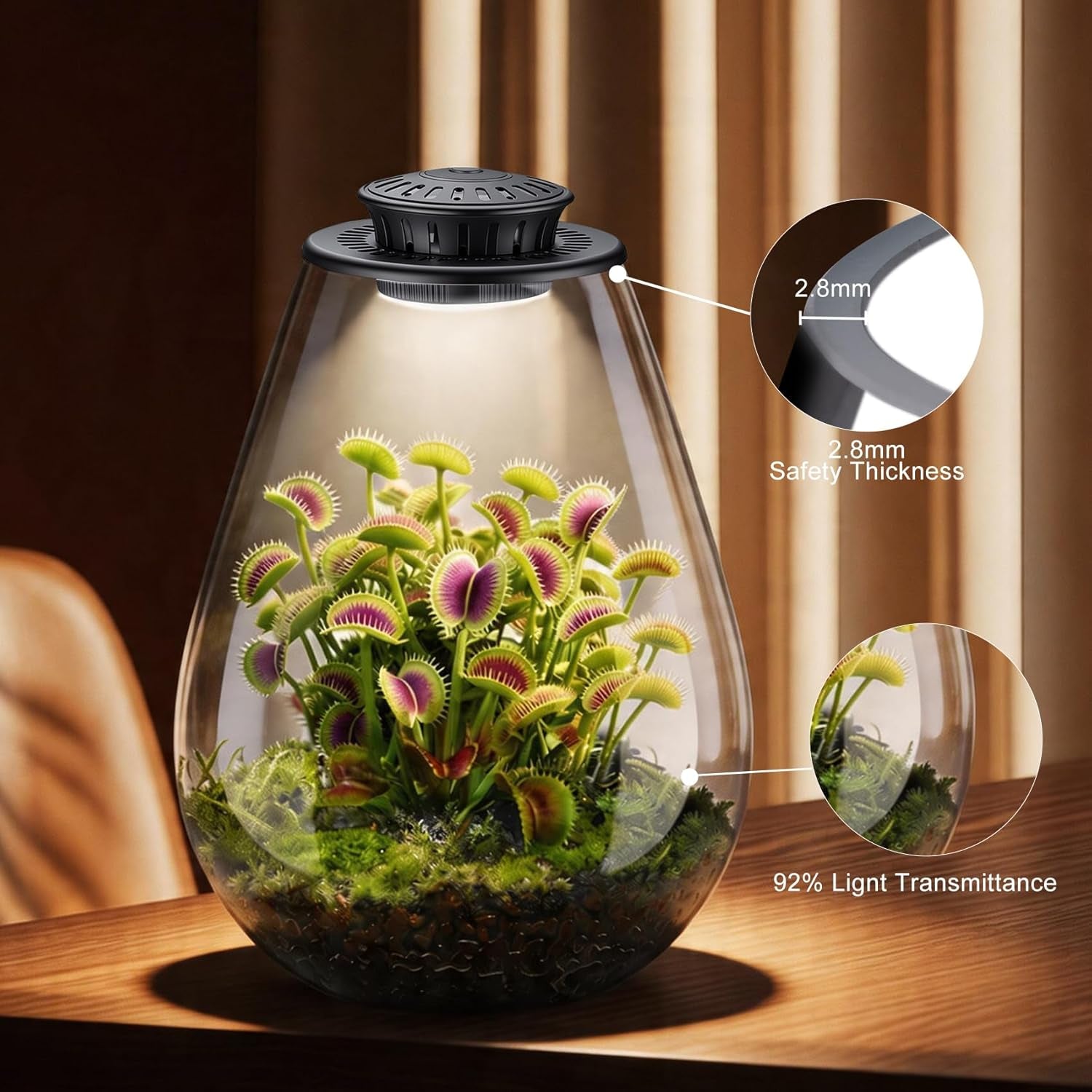 Glass Plant Terrarium with LED Grow Light, 7.8" Borosilicate Terrarium with Adjustable Ventilation & Timer, for Venus Fly Trap, Moss, Succulents, Mini Landscape, Desk Decor for Home Office