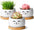 Cat Planter 3.8 Inch, 3 Pcs Cute Cat Small Plant Pots for Indoor Plants, Mini Cat Succulent Pots for Plants, Ceramic Succulent Planters with Drainage, Tiny Flower Pots