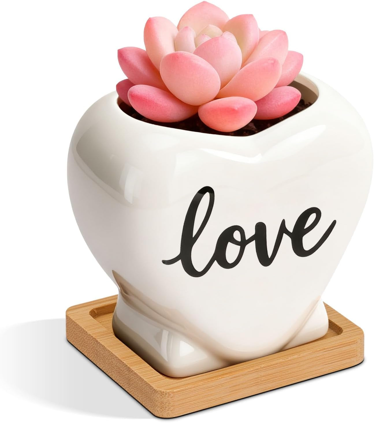 Cat Planter 3.8 Inch, 3 Pcs Cute Cat Small Plant Pots for Indoor Plants, Mini Cat Succulent Pots for Plants, Ceramic Succulent Planters with Drainage, Tiny Flower Pots