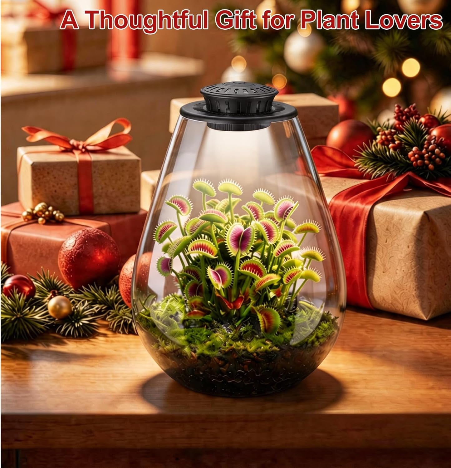 Glass Plant Terrarium with LED Grow Light, 7.8" Borosilicate Terrarium with Adjustable Ventilation & Timer, for Venus Fly Trap, Moss, Succulents, Mini Landscape, Desk Decor for Home Office