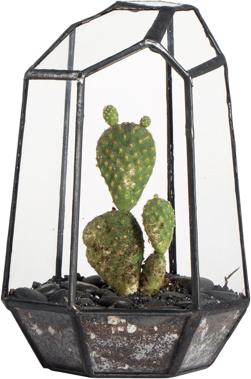 No Door Geometric Glass Terrarium Planter for Small Succulent, Small Cacti, Black Irregular Opened Terrarium Pot, Indoor Home Garden Office Tabletop Decor, 6.5" X 5.7" X 9.8" (No Plants)