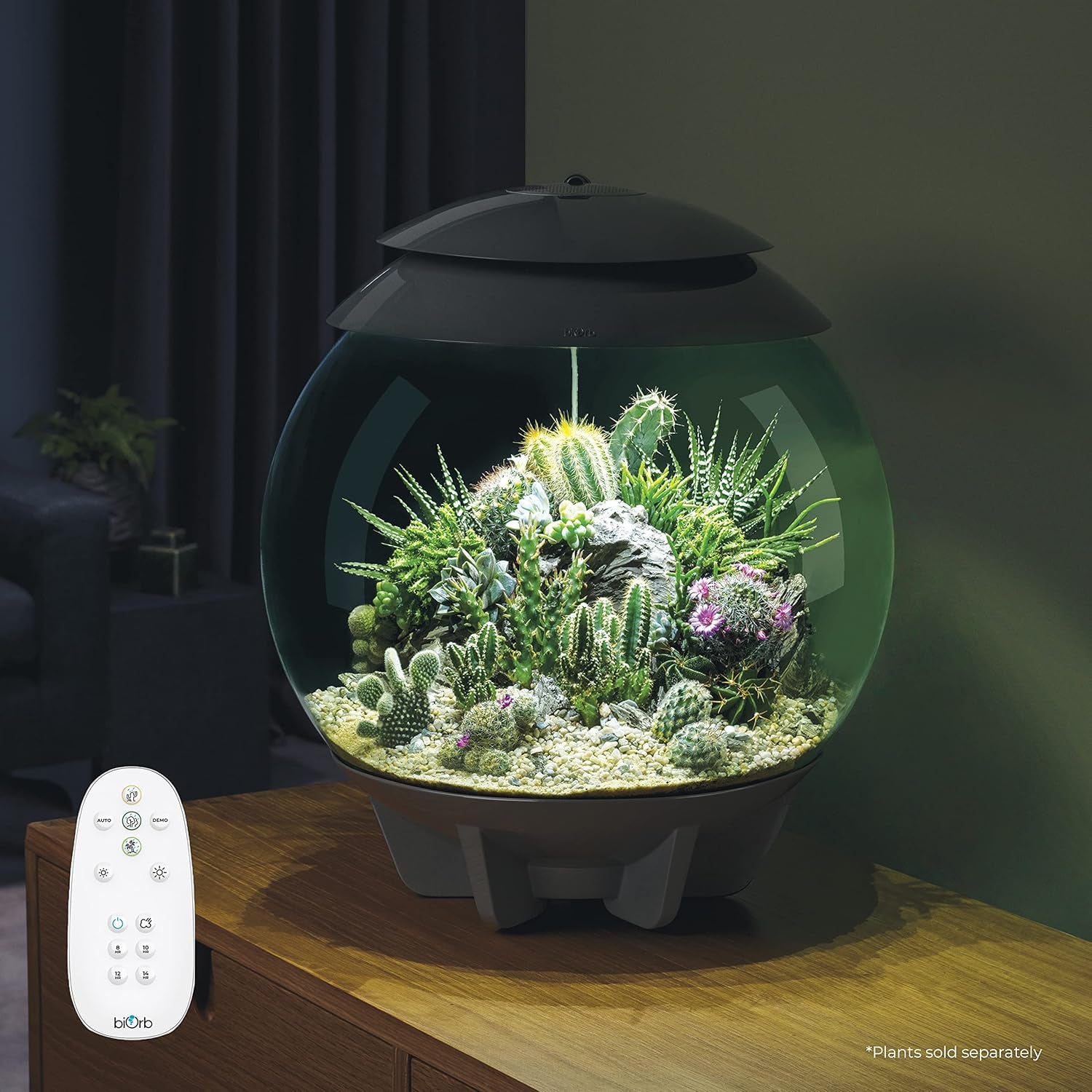 AIR 30, Fully Automated Terrarium for Arid, Temperate, or Tropical Plants, Gray