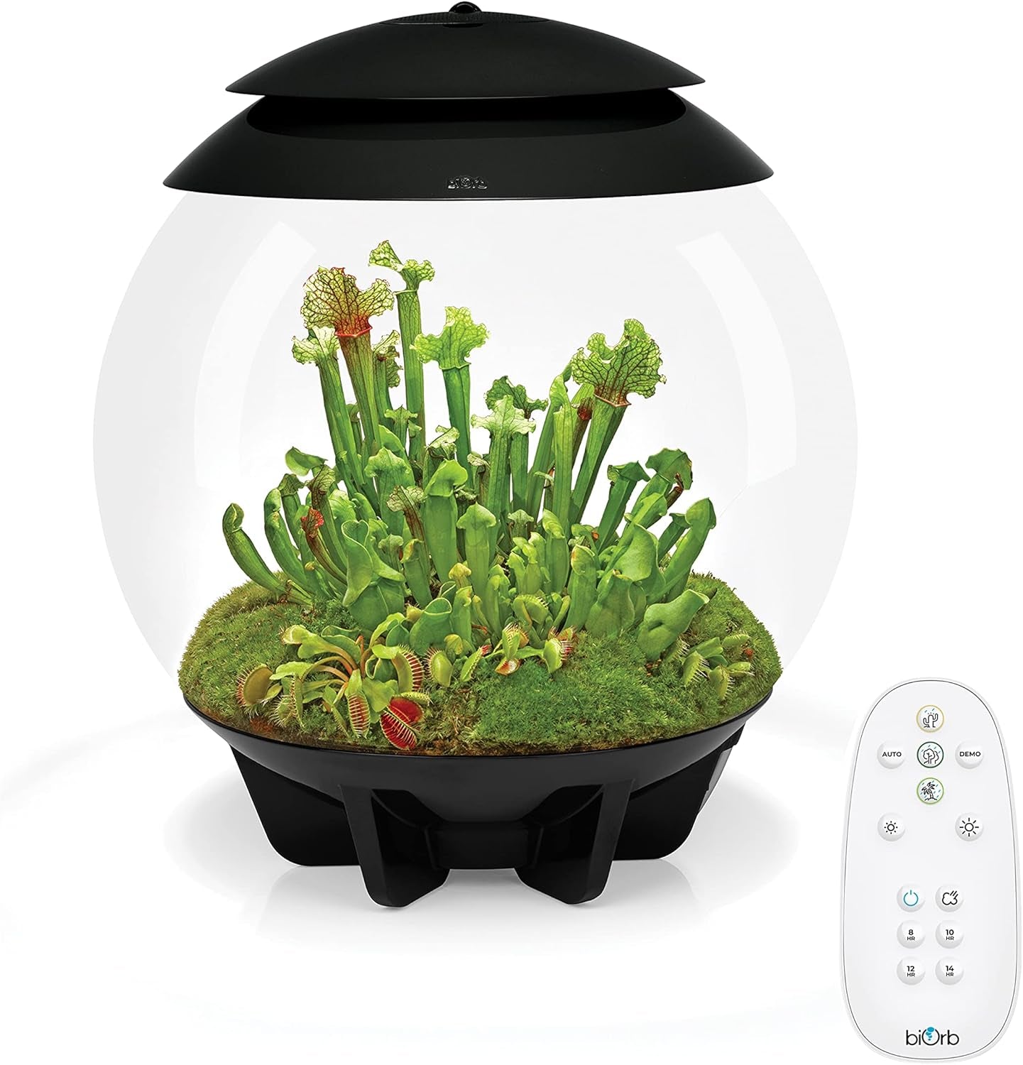AIR 30, Fully Automated Terrarium for Arid, Temperate, or Tropical Plants, Gray