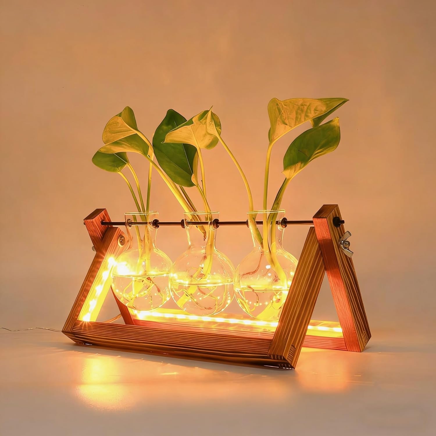 Plant Propagation Stations with LED Lights, Plants Terrarium with Retro Wooden Stand Glass Vase Hydroponics Planter Birthday Gift for Plant Lovers Home Garden Office Indoor Decoration-3 Bulb Vase
