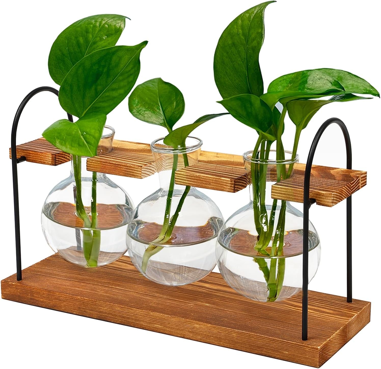 Plant Terrarium with Wooden Stand, the Ultimate Gift for Plant Lovers, Propagation Station with Retro Glass Bulbs, Creating a Stunning Tabletop Display of Hydroponic Greenery in Any Home or Office