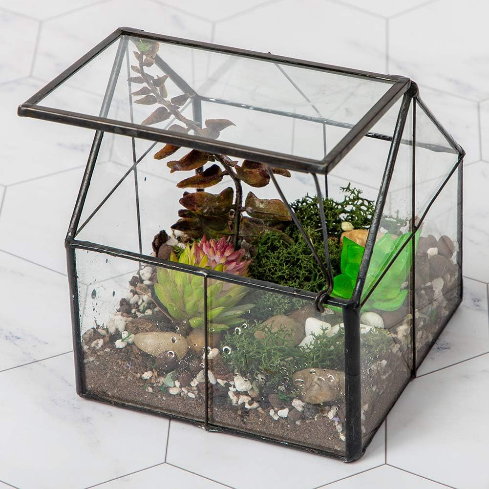 Glass Plant Terrarium Container Wardian Case Indoor Small Succulent Terrarium Planter W/Door for Tabletop Decor DIY - 4.9"X4.3"X4.3"