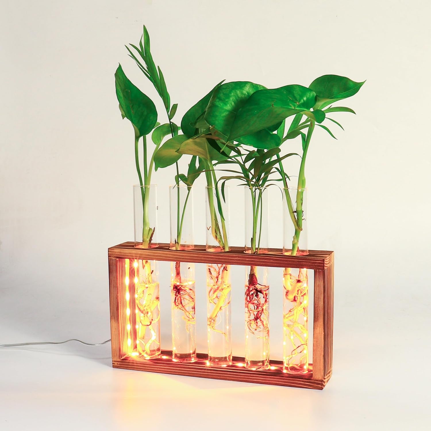 Plant Propagation Station with LED Lights, Plants Terrarium with Wooden Stand, 5 Glass Test Tube Vases for Propagating Hydroponic Plants Cutting Office Home Desk and Garden Decor Gift for Plant Lovers