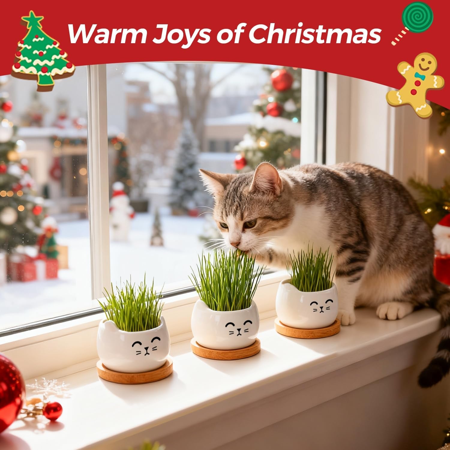 Cat Planter 3.8 Inch, 3 Pcs Cute Cat Small Plant Pots for Indoor Plants, Mini Cat Succulent Pots for Plants, Ceramic Succulent Planters with Drainage, Tiny Flower Pots