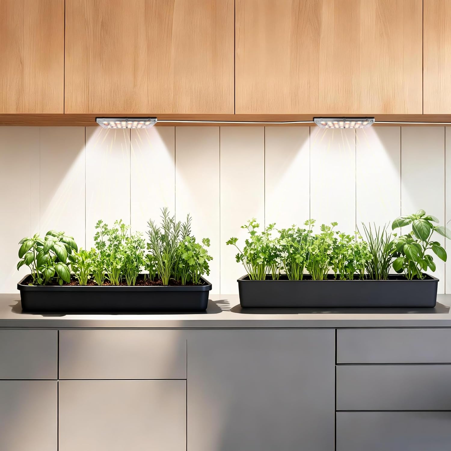 Stick-On under Cabinet Grow Lights with Timer, High PPFD Sun-Like Full Spectrum LED Puck Light for Indoor Plants, Succulents, Mini Spotlight for Shelves, Terrarium & Display Case (3500K Warm White)