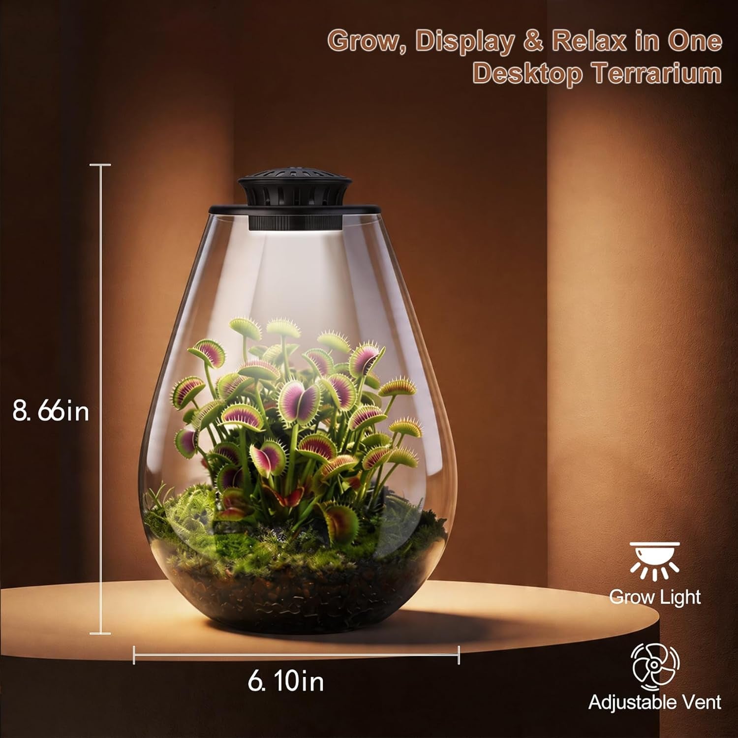 Glass Plant Terrarium with LED Grow Light, 7.8" Borosilicate Terrarium with Adjustable Ventilation & Timer, for Venus Fly Trap, Moss, Succulents, Mini Landscape, Desk Decor for Home Office