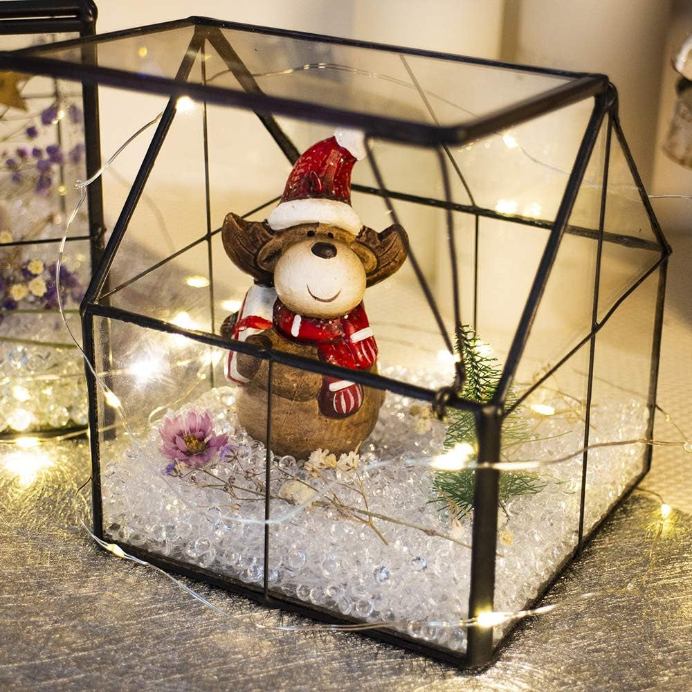 Glass Plant Terrarium Container Wardian Case Indoor Small Succulent Terrarium Planter W/Door for Tabletop Decor DIY - 4.9"X4.3"X4.3"