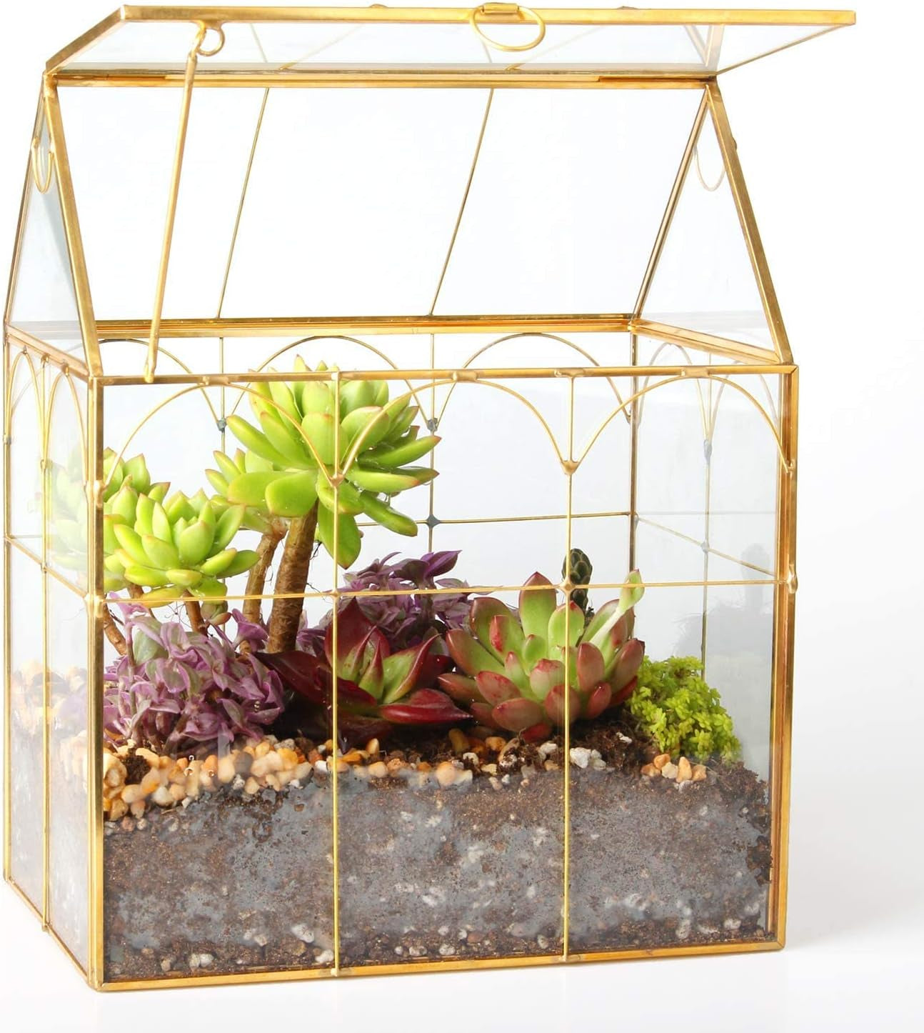 Glass Geometric Plant Terrarium,Succulent & Air Planter for Home Garden Office Decoration (Black House)