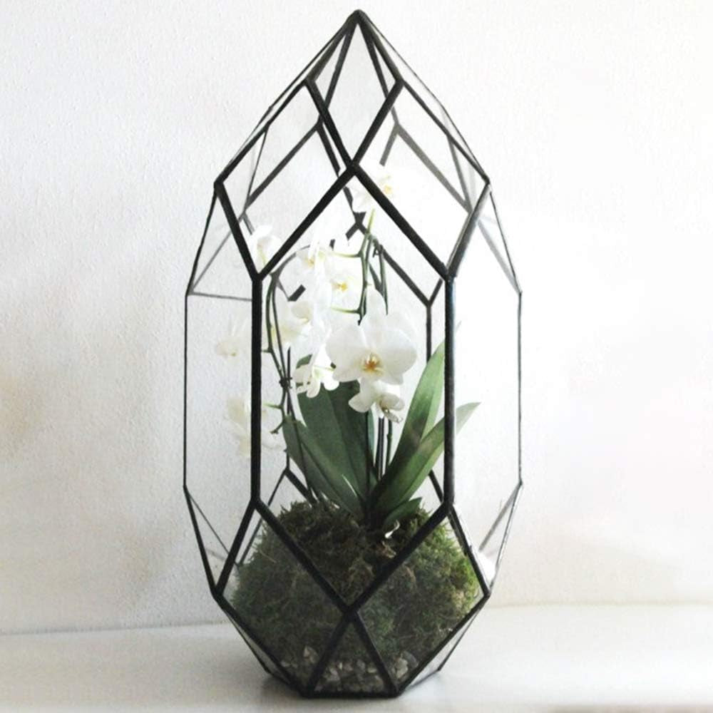 Glass Plant Terrarium Container Wardian Case Indoor Small Succulent Terrarium Planter W/Door for Tabletop Decor DIY - 4.9"X4.3"X4.3"